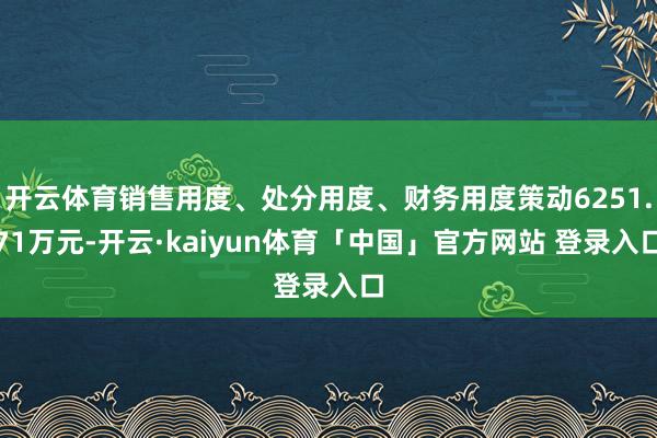 开云体育销售用度、处分用度、财务用度策动6251.71万元-开云·kaiyun体育「中国」官方网站 登录入口