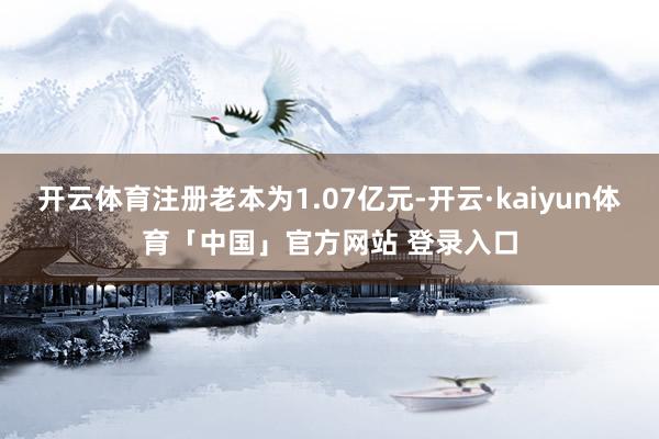 开云体育注册老本为1.07亿元-开云·kaiyun体育「中国」官方网站 登录入口