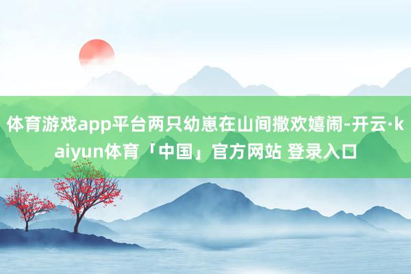 体育游戏app平台两只幼崽在山间撒欢嬉闹-开云·kaiyun体育「中国」官方网站 登录入口